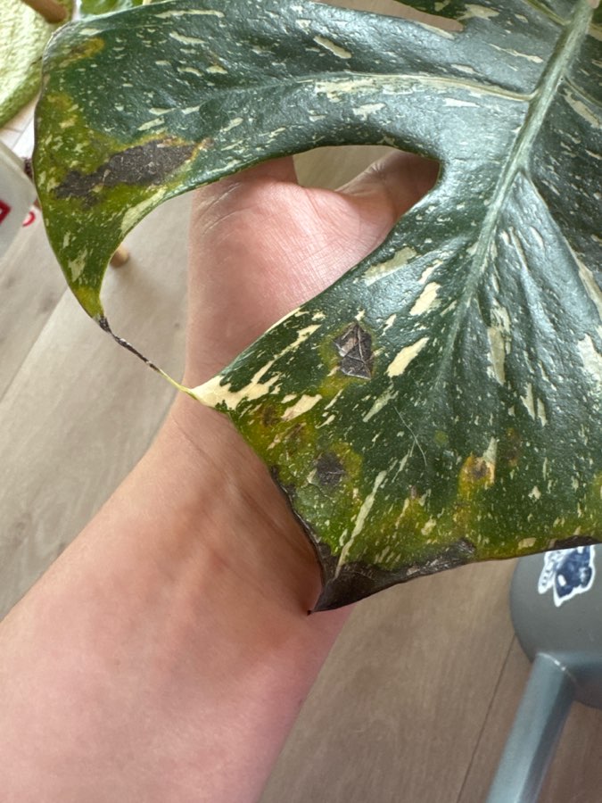 undefined 2