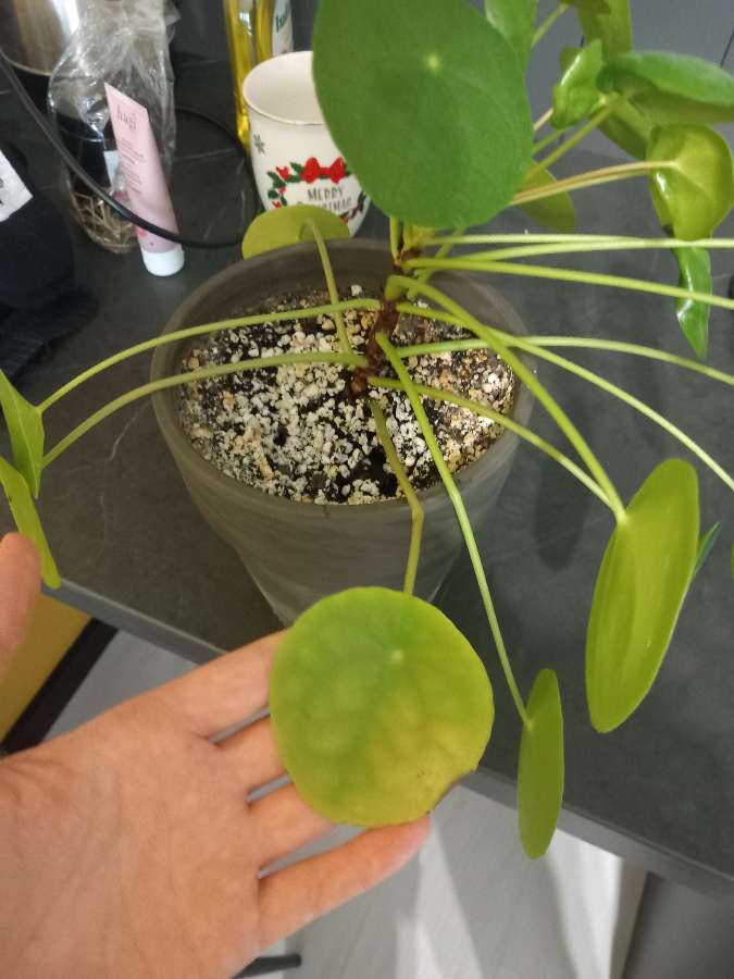 undefined 2