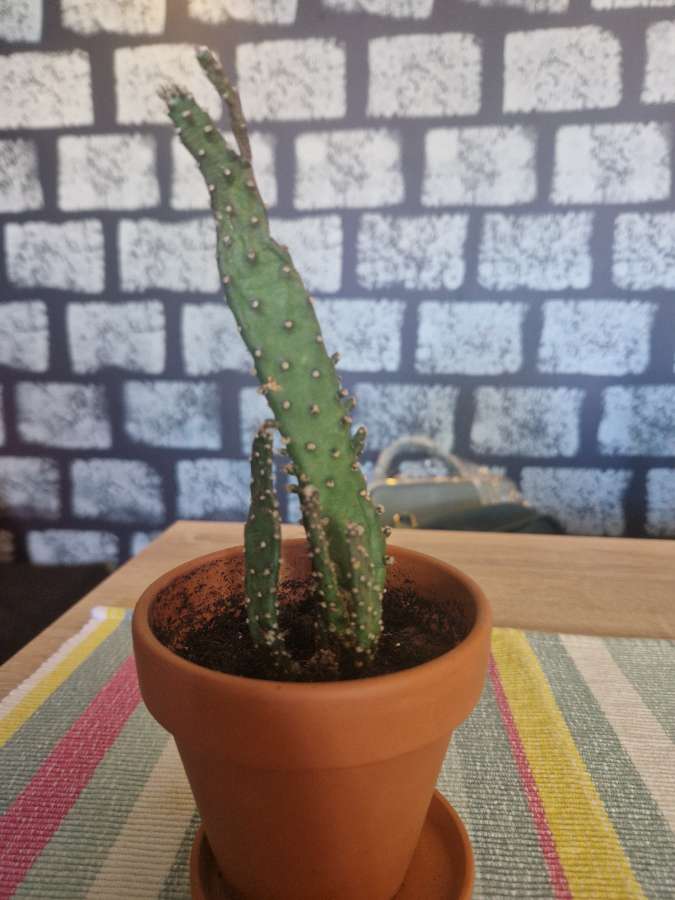 undefined 4