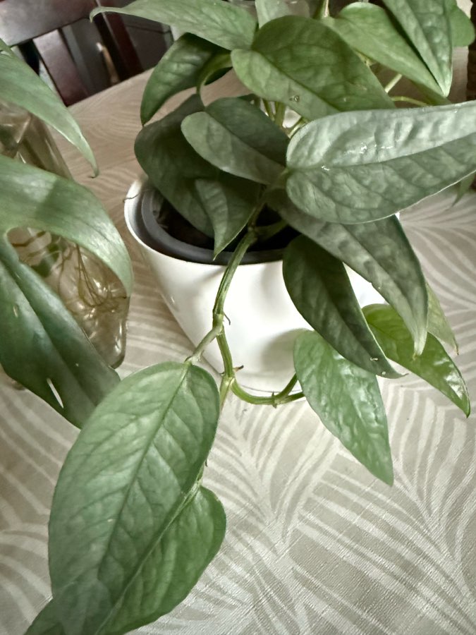 undefined 2