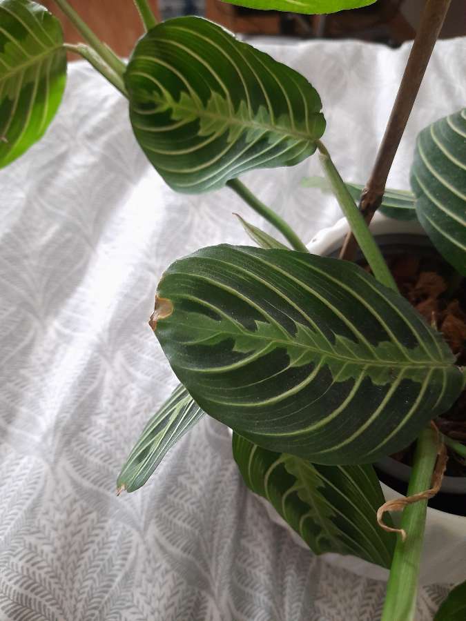 undefined 2
