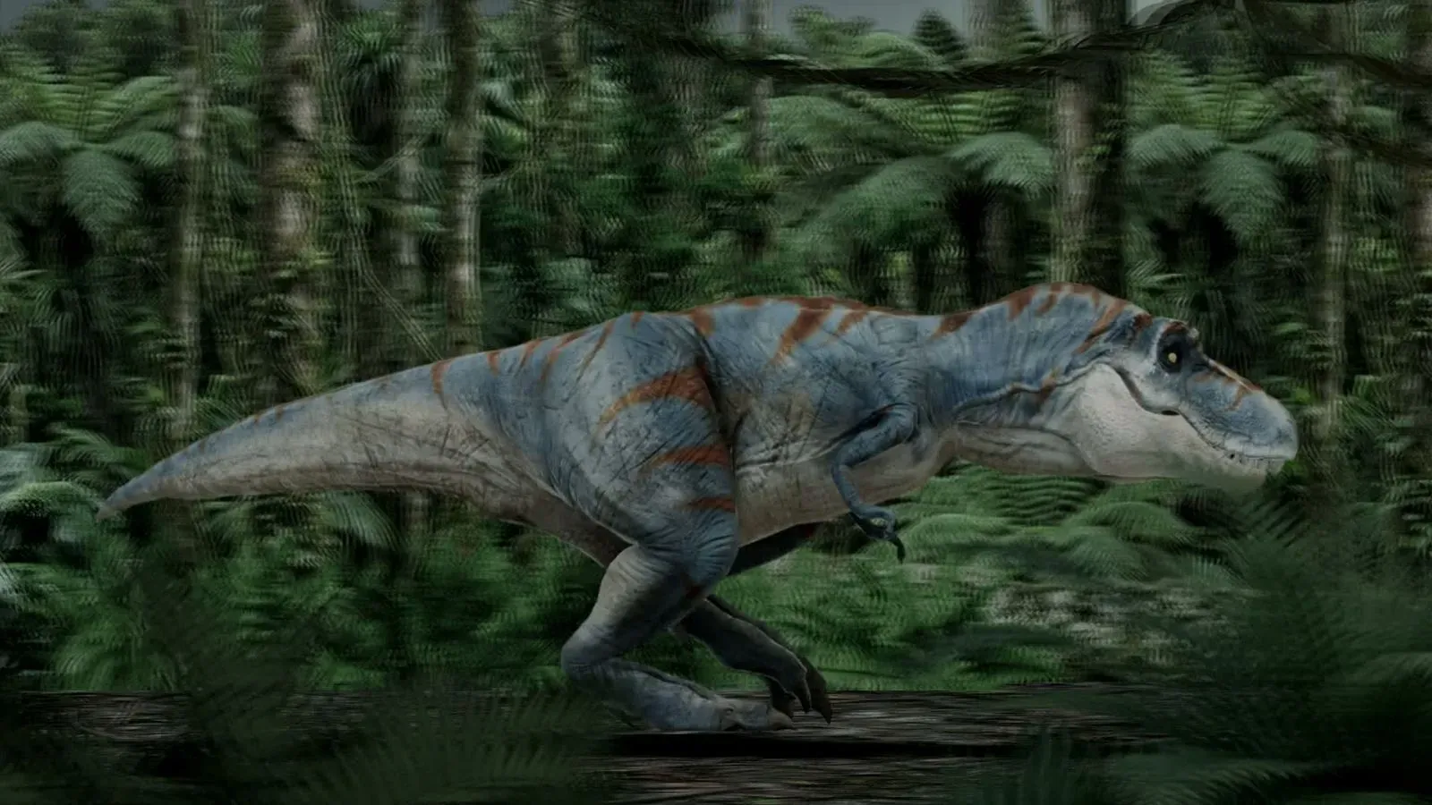 Predatore