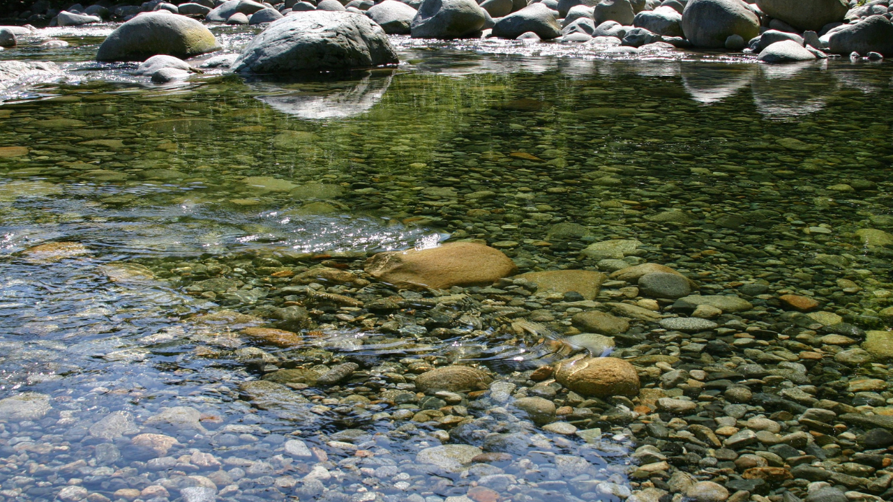 Água corrente sobre pedras em um riacho