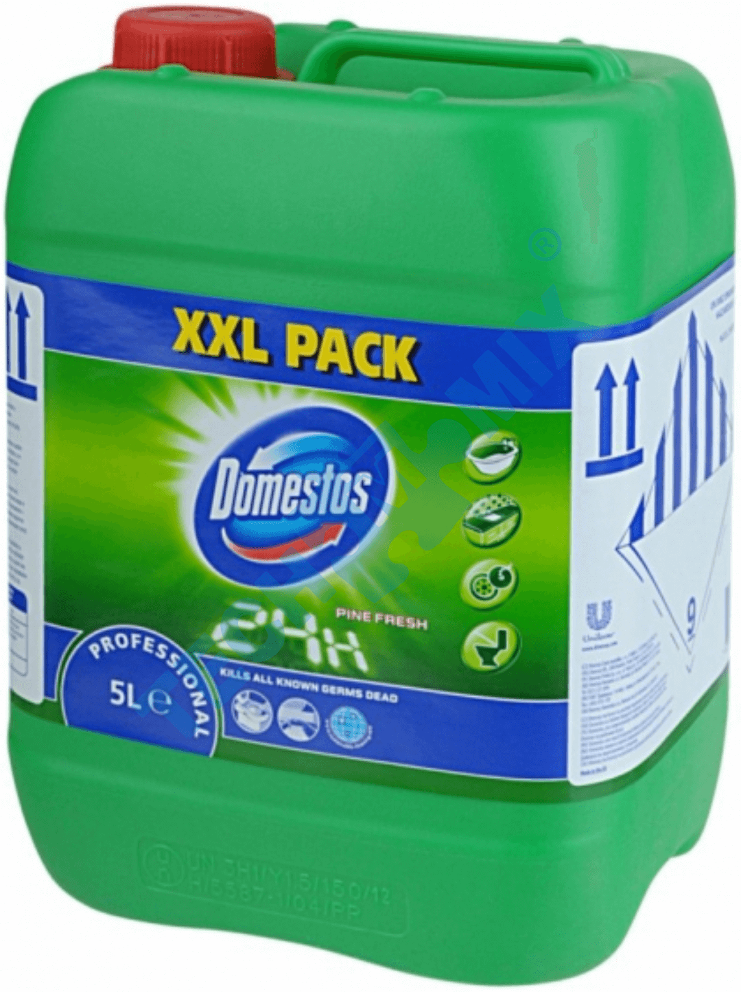 DOMESTOS 5L