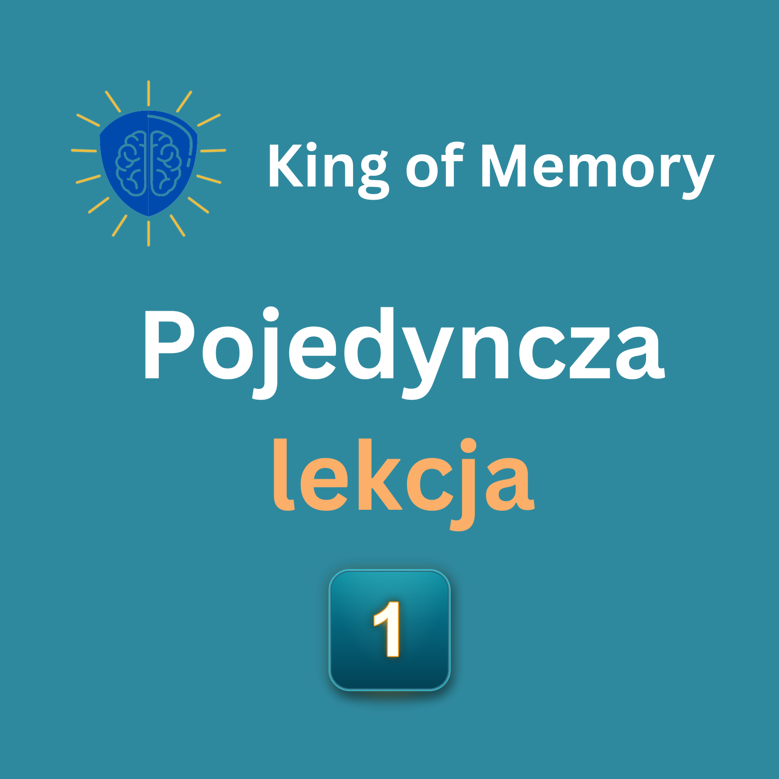Lekcja indywidualna - grafika King of Memory