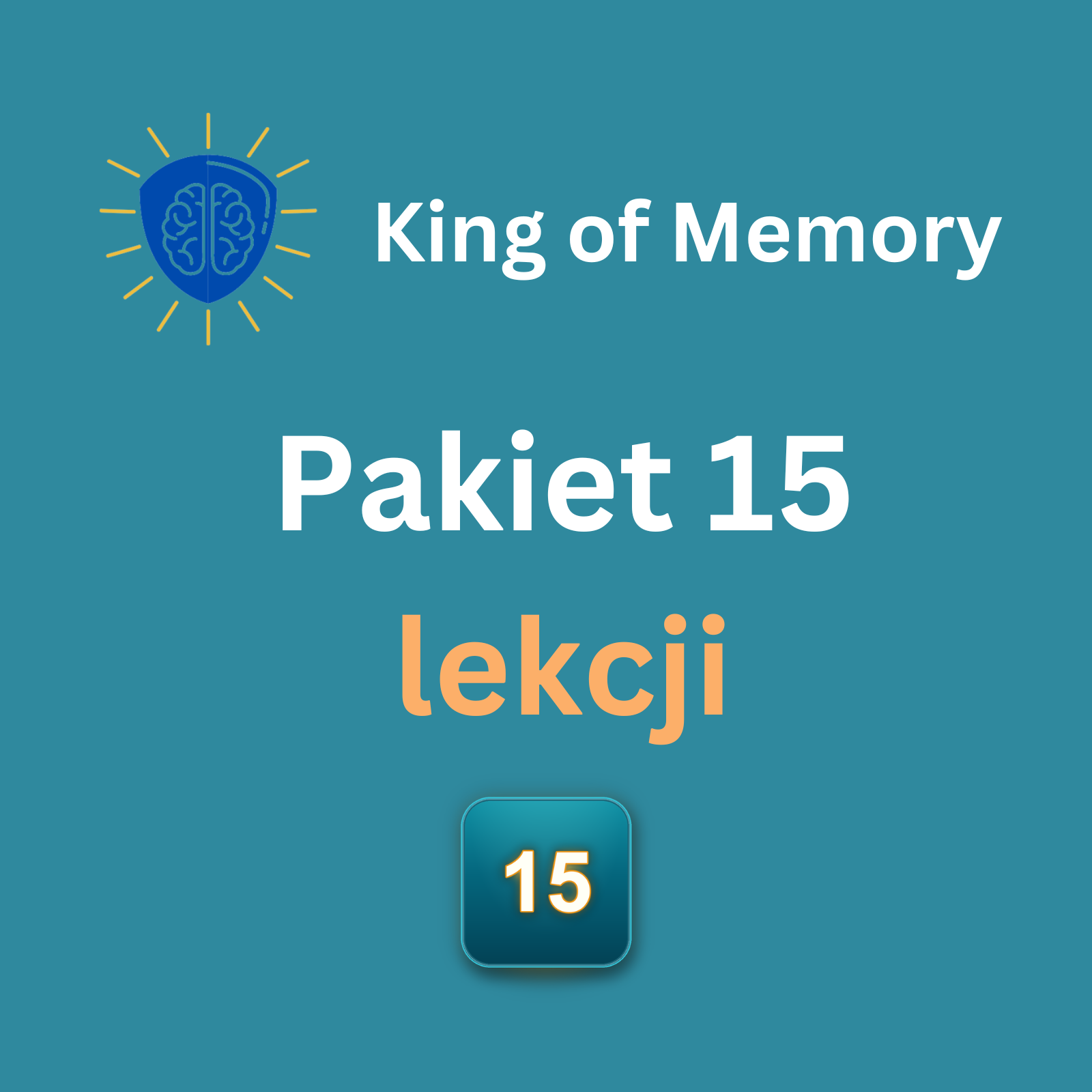 Pakiet 15 lekcji indywidualnych - grafika King of Memory