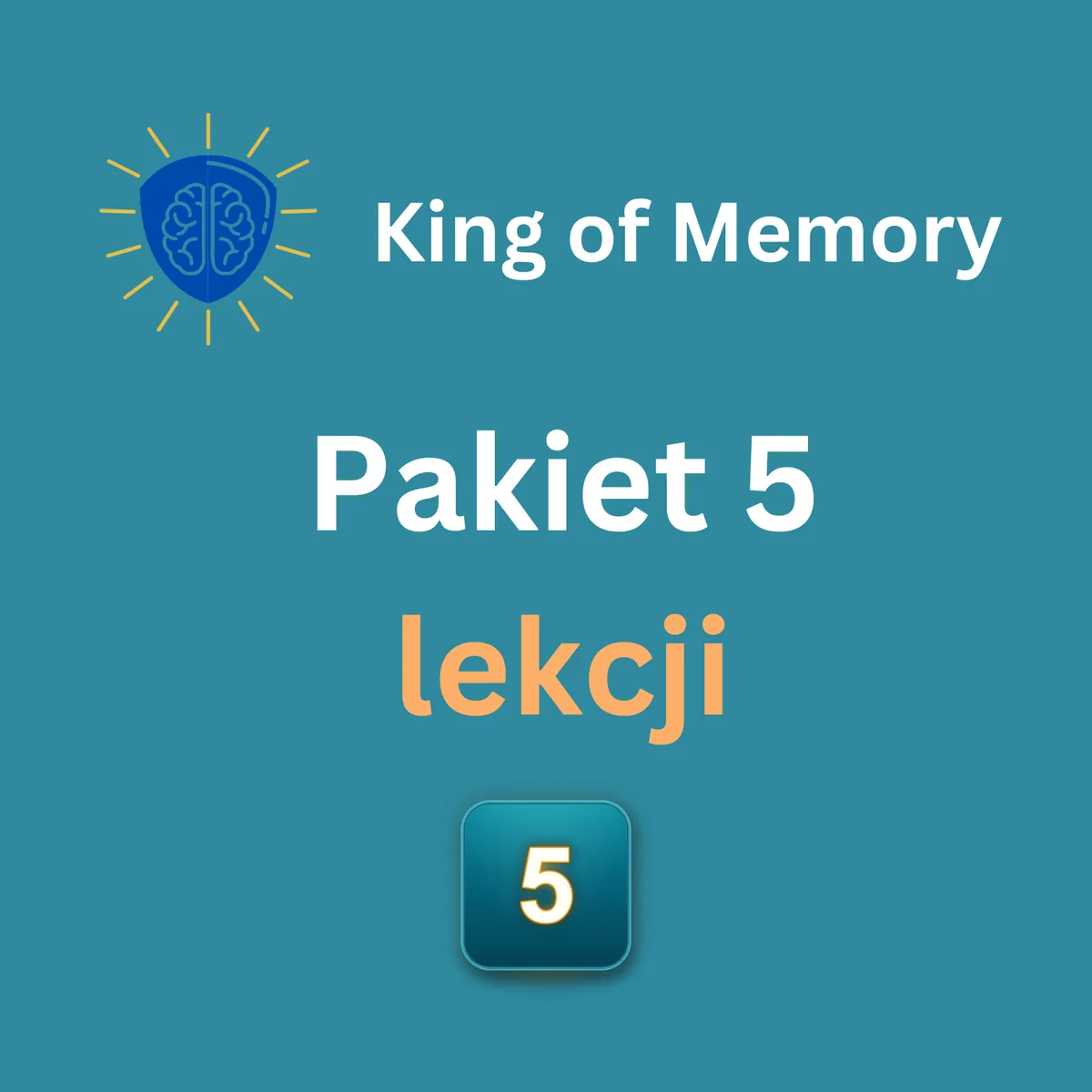 Pakiet 5 lekcji indywidualnych - grafika King of Memory
