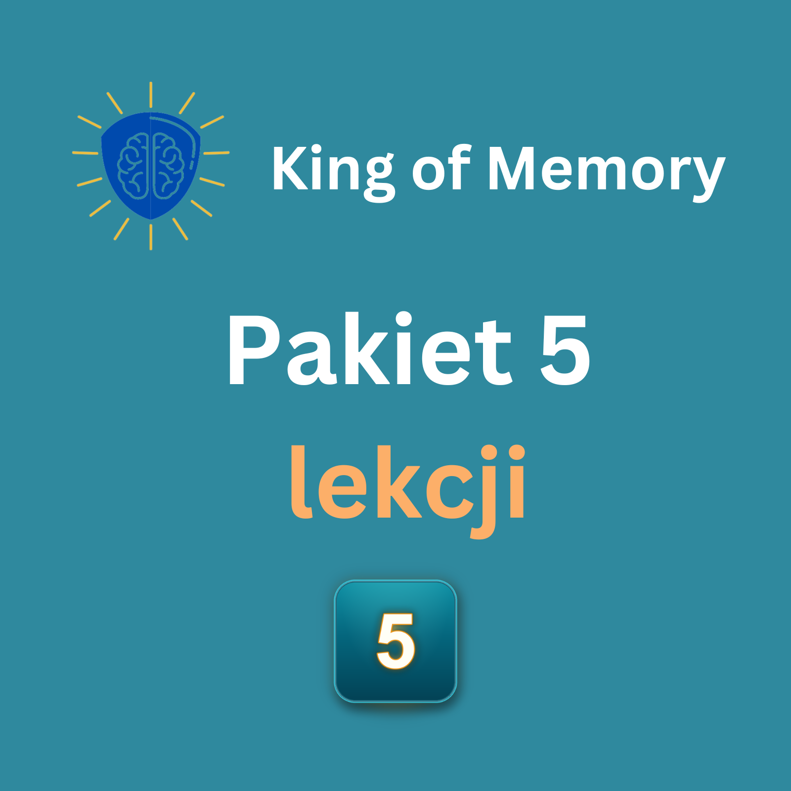 Pakiet 5 lekcji indywidualnych - grafika King of Memory