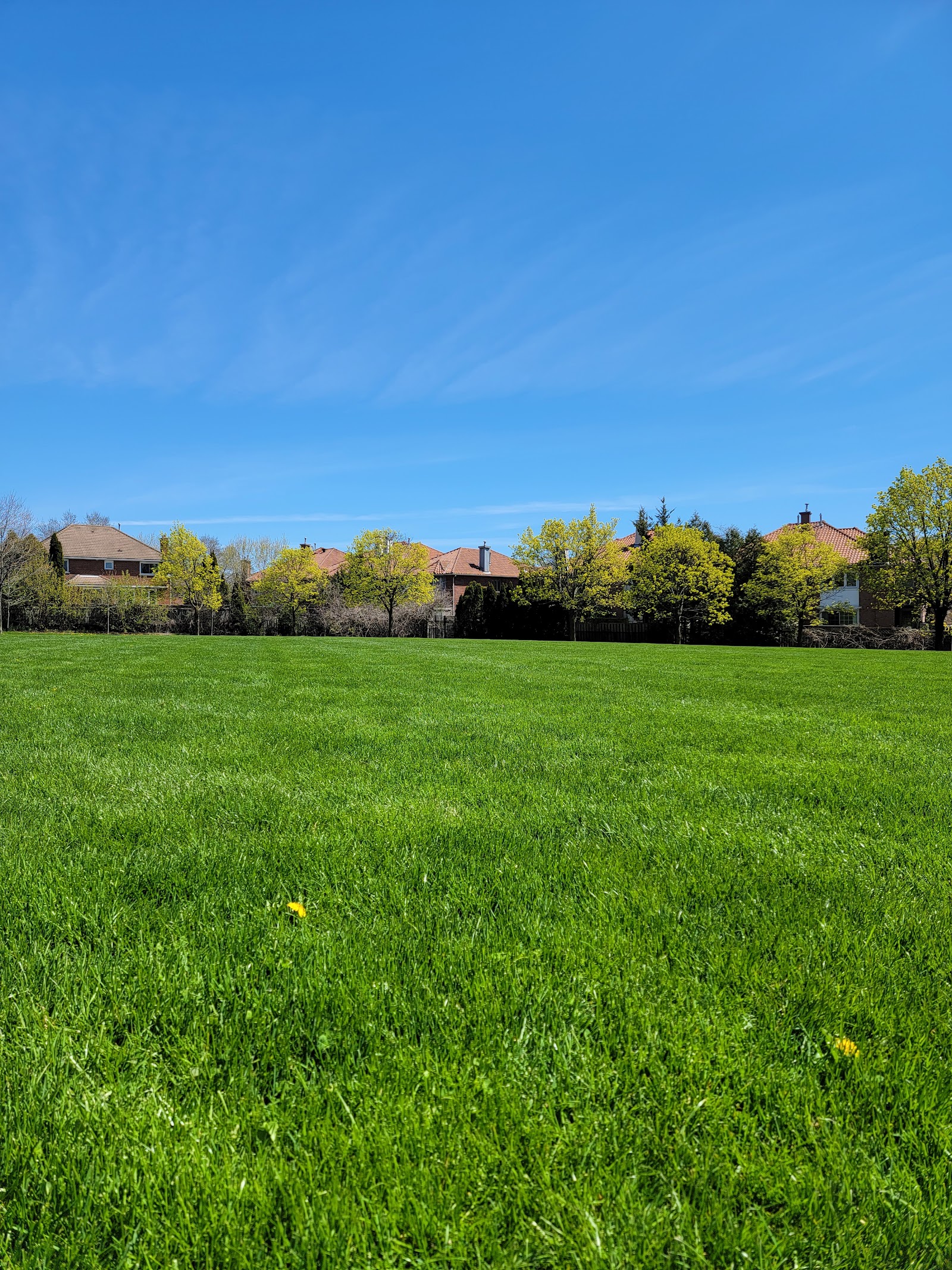 Jonathan Park Tennis Courts photo 2