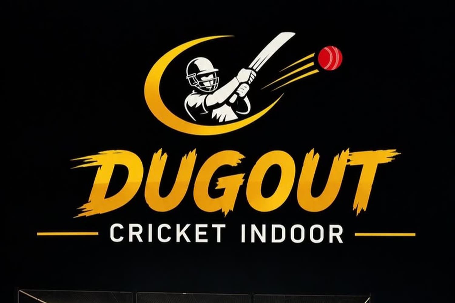 The Dugout cricket indoor