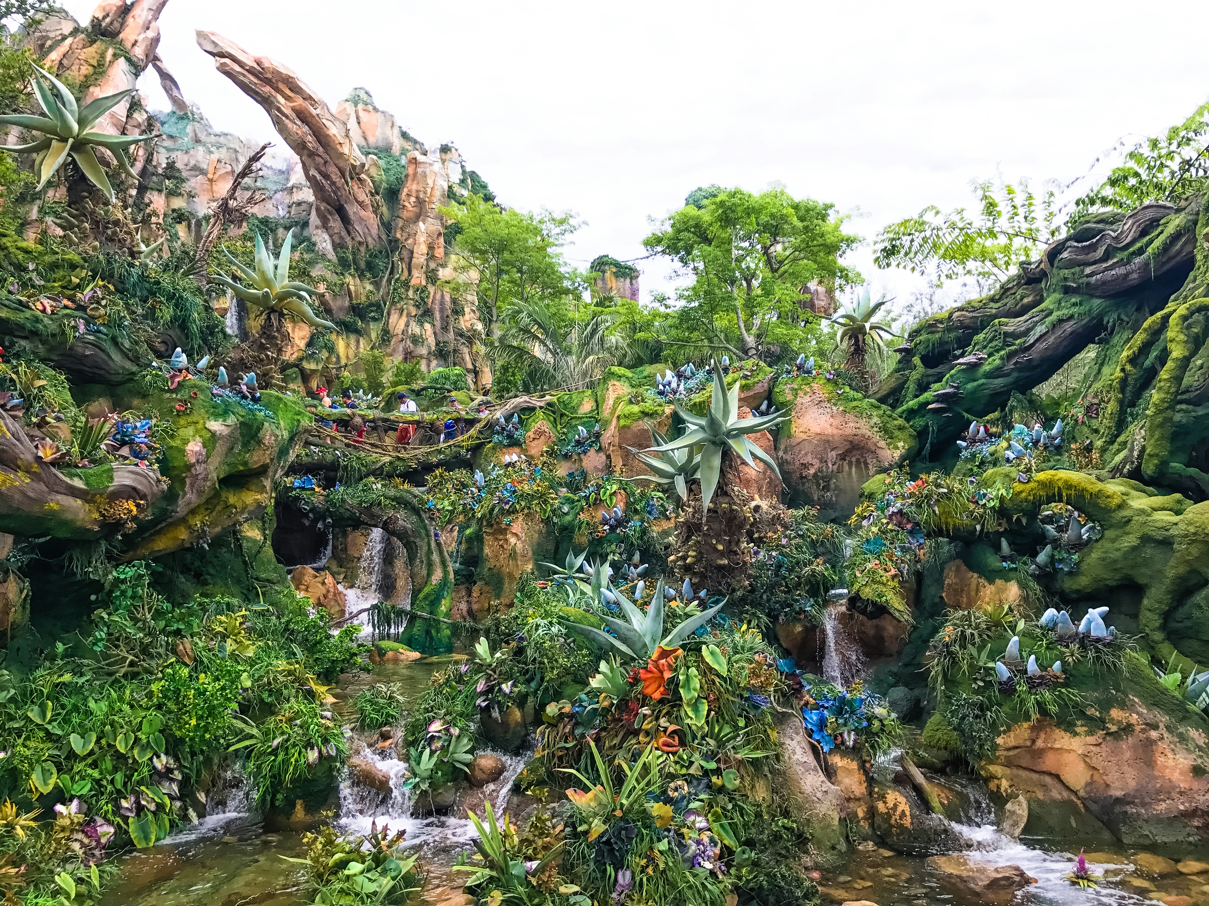 Animal Kingdom