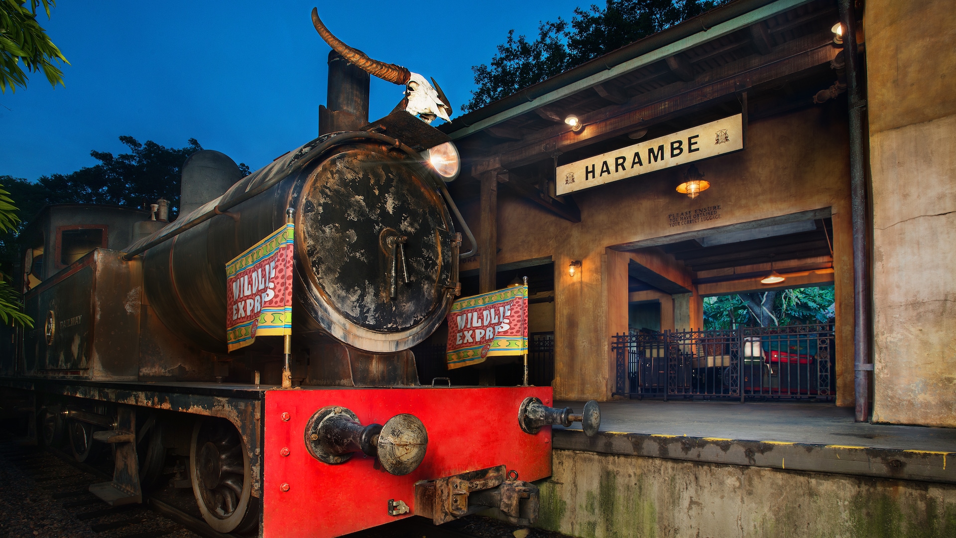 Rafiki's Planet Watch playground - Image 1