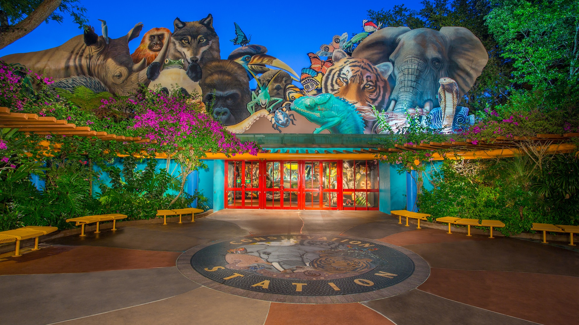 Rafiki's Planet Watch
