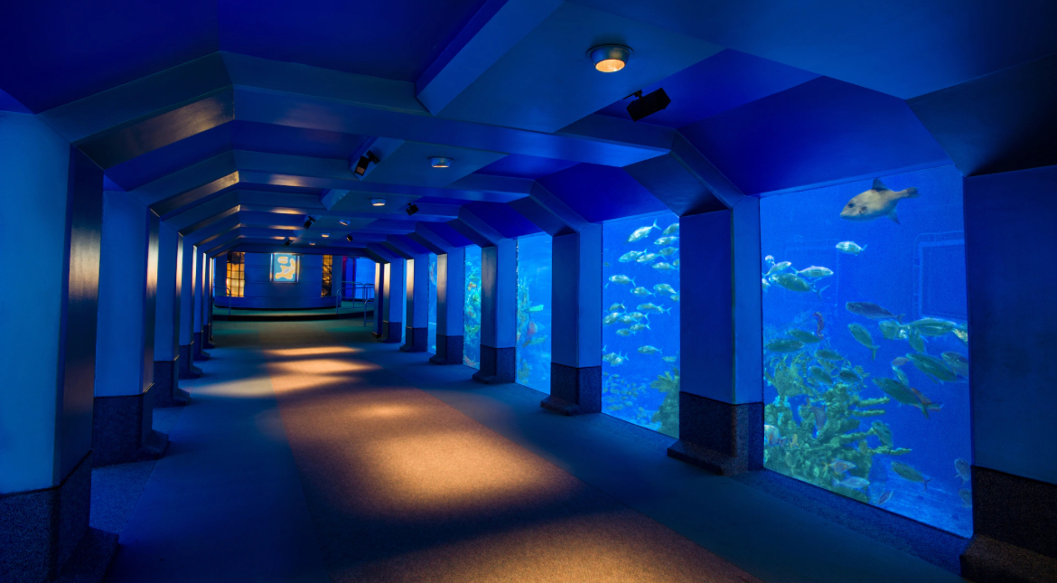 SeaBase Aquarium playground - Image 1