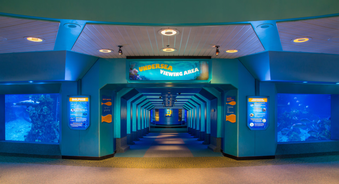 SeaBase Aquarium