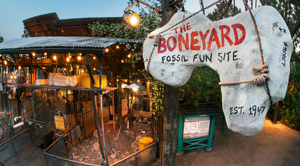 The Boneyard