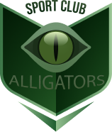 Sponsors Logo