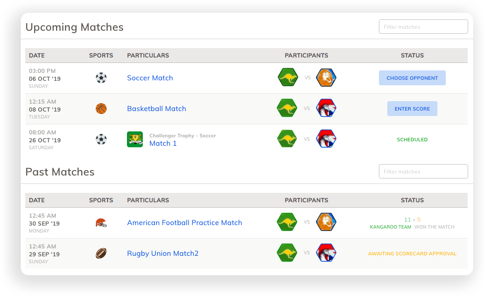 Manage Cricket (Tennis Ball) Match Schedule