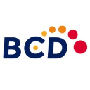 BCD INTER DEPARTMENT CRICEKT TOURNAMENT 2024