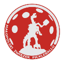 Jerzmanowicka Liga Pickleball