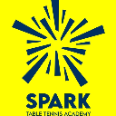 Spark Academy Tournament Level B