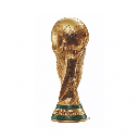 World Cup Custom