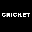 CRICKET | DSC 2024