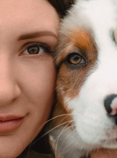 pets, commercial, street, portrait, content