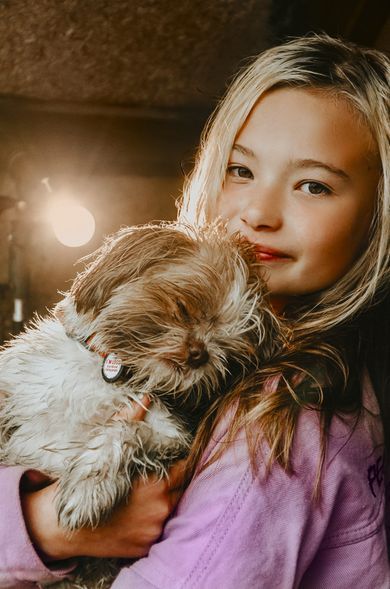 pets, children, baby, portrait, family