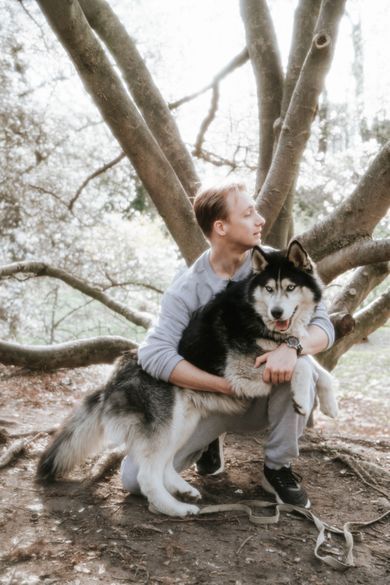 pets, nature