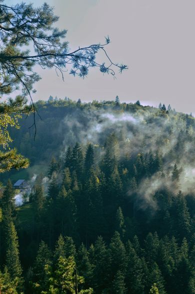 nature