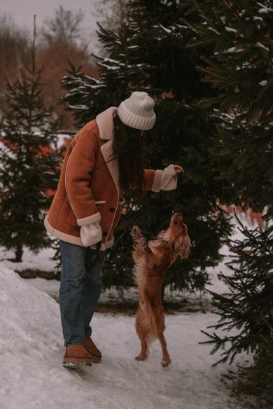 pets