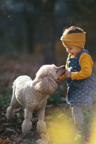 pets, children