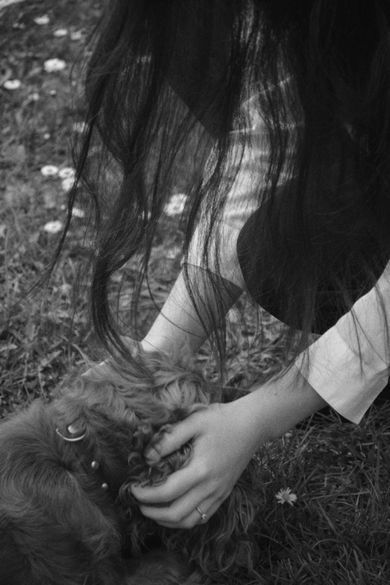 pets, photojournalism
