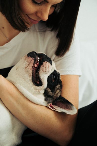 pets