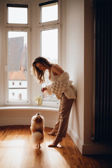 pets, portrait