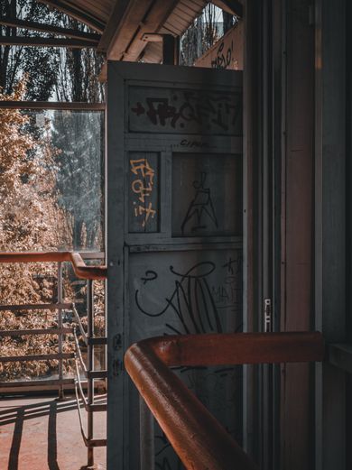 nature, street, content