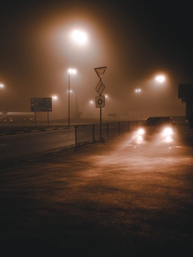 nature, street, content