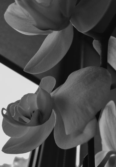 product, blackandwhite