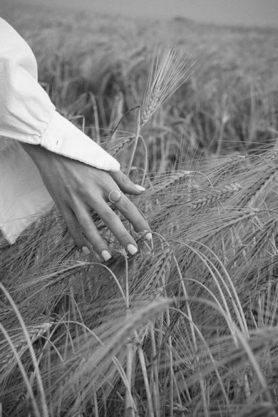 nature, blackandwhite