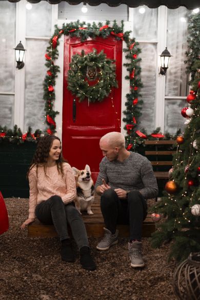 pets, couple, nature, street, family