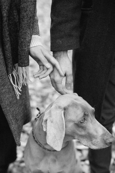 pets, blackandwhite