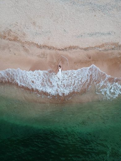 nature, drone