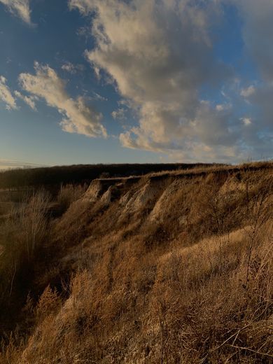 nature