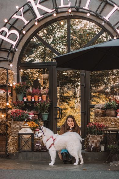 pets, street, ukraine, portrait