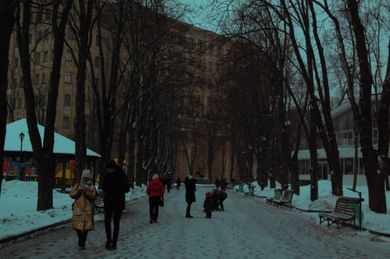 commercial, nature, street, content, events