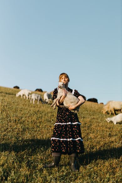 pets, nature, portrait
