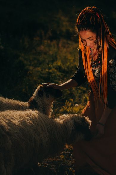 pets, portrait