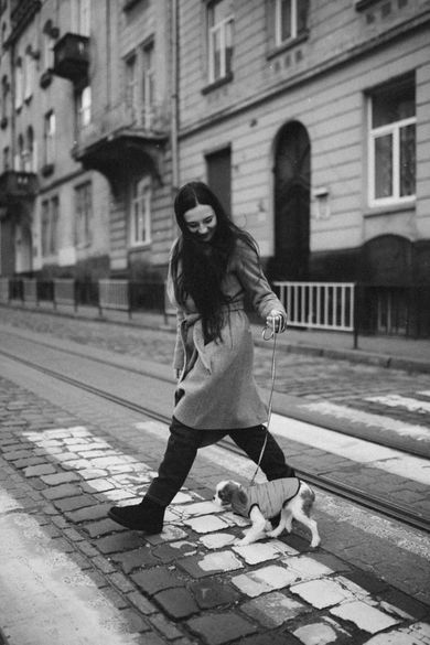 pets, portrait