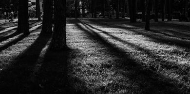 blackandwhite, ukraine